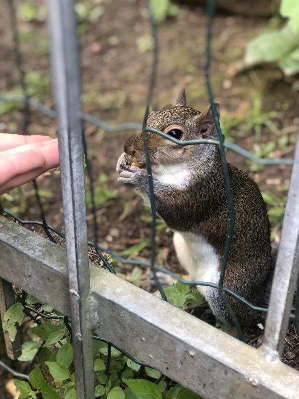 Asiya uploaded   312  day/s  ago