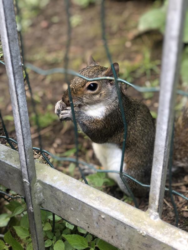 Asiya uploaded   312  day/s  ago