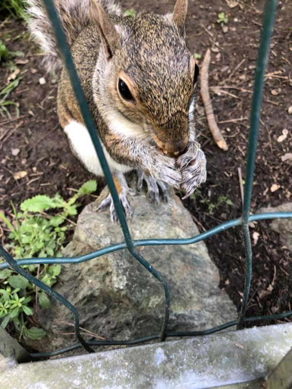 Asiya uploaded   307  day/s  ago