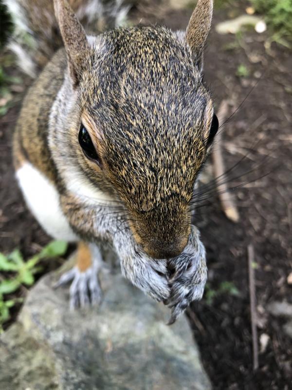 Asiya uploaded   307  day/s  ago