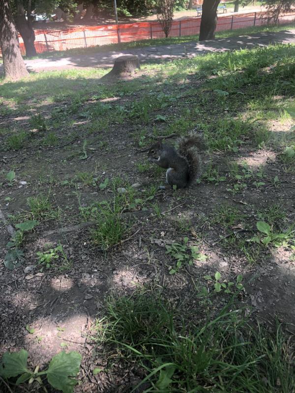 Asiya uploaded   278  day/s  ago