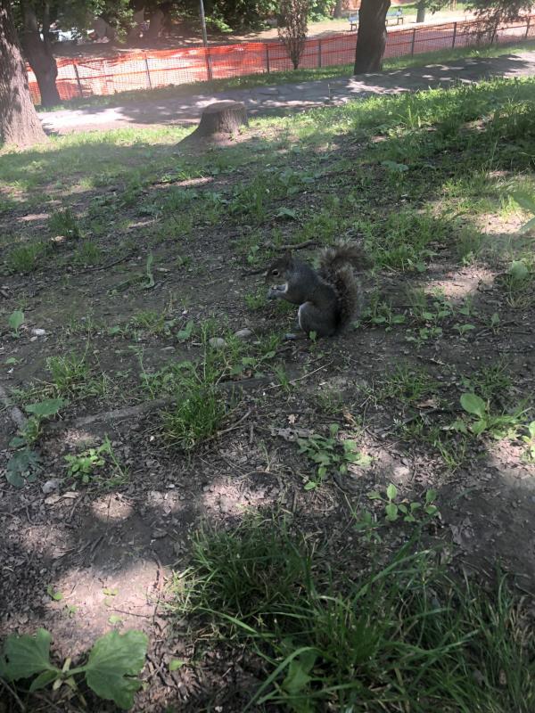 Asiya uploaded   278  day/s  ago