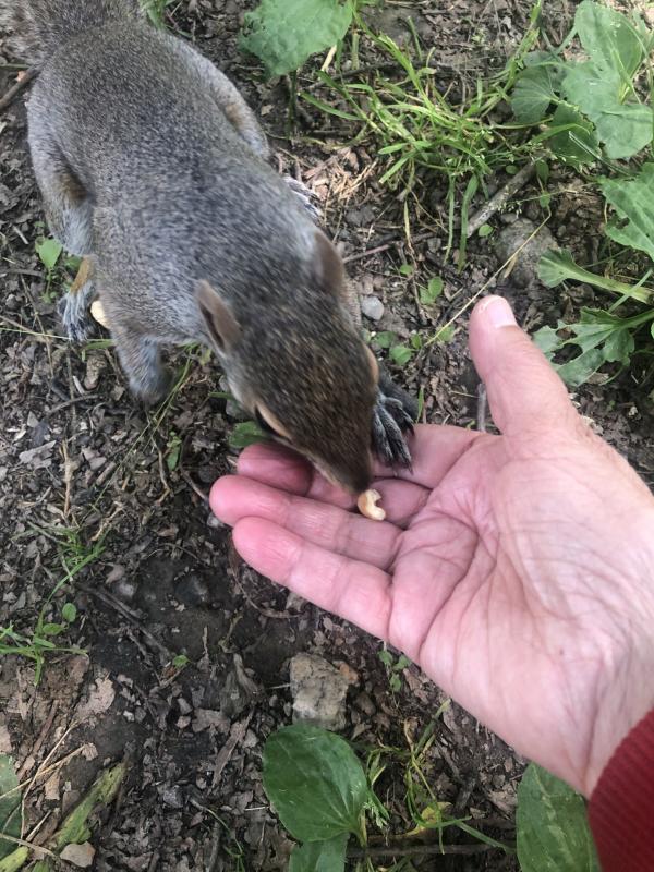 Asiya uploaded   278  day/s  ago