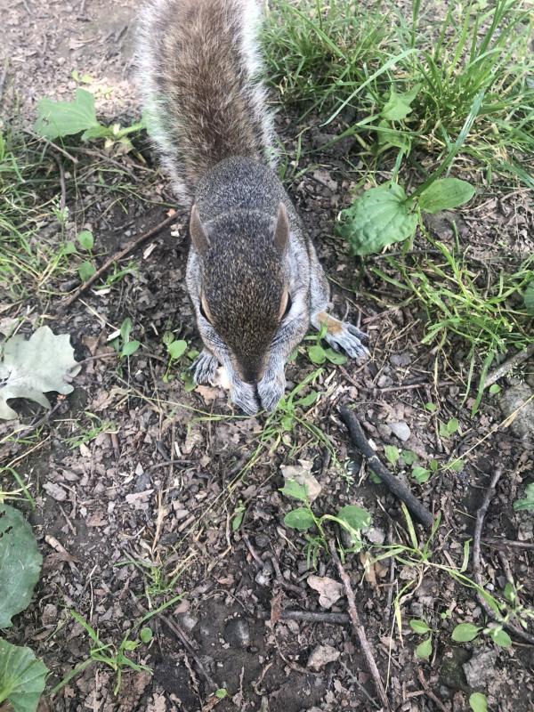 Asiya uploaded   278  day/s  ago