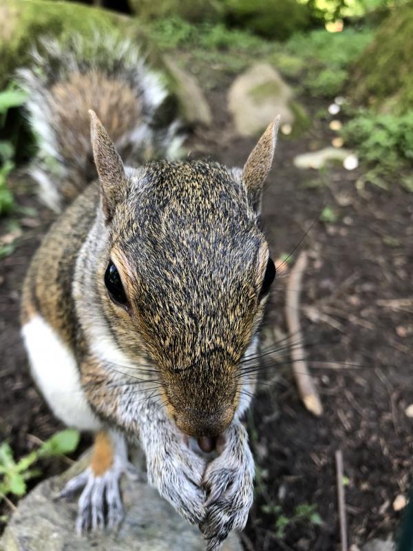 Asiya uploaded   298  day/s  ago