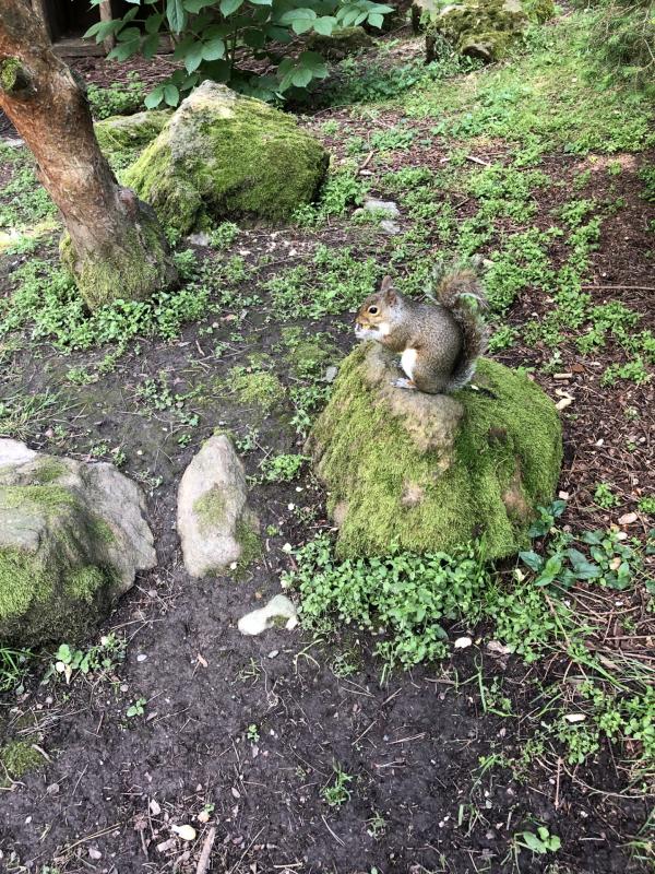 Asiya uploaded   298  day/s  ago