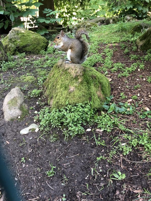 Asiya uploaded   298  day/s  ago