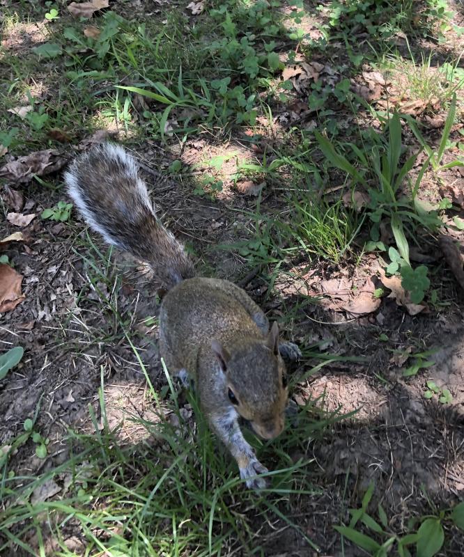 Asiya uploaded   258  day/s  ago