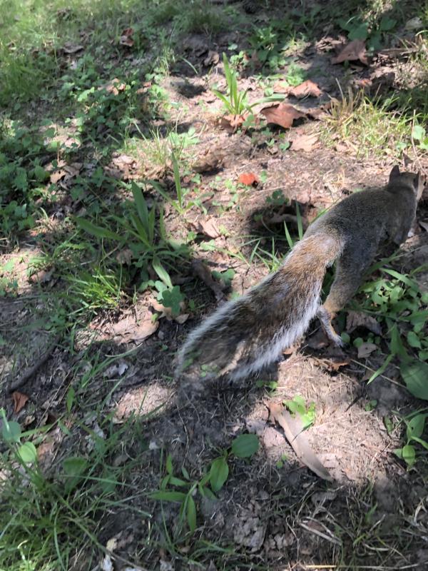 Asiya uploaded   258  day/s  ago