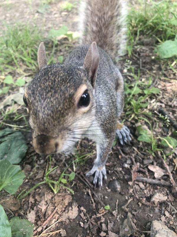 Asiya uploaded   268  day/s  ago