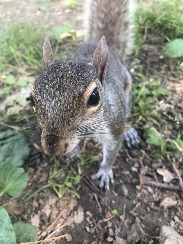 Asiya uploaded   268  day/s  ago