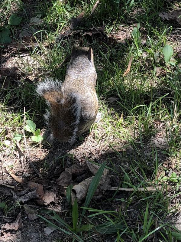 Asiya uploaded   245  day/s  ago