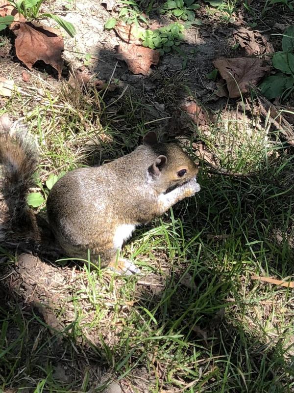 Asiya uploaded   245  day/s  ago