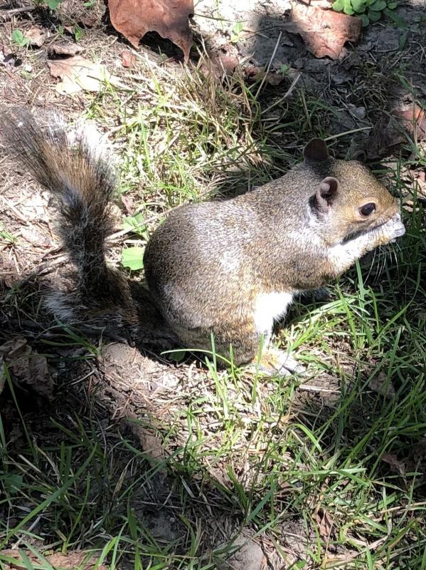 Asiya uploaded   172  day/s  ago