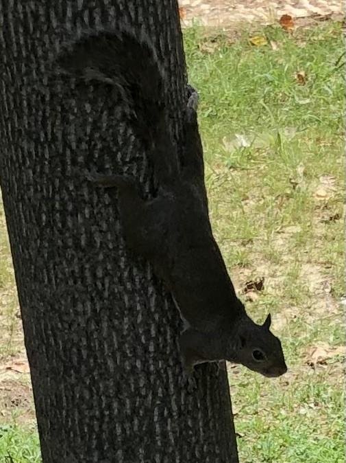 Asiya uploaded   261  day/s  ago