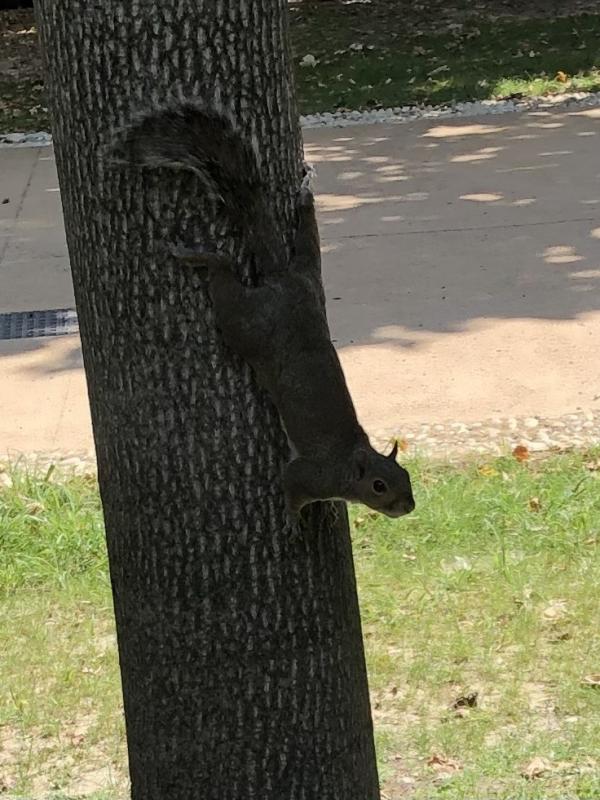 Asiya uploaded   261  day/s  ago