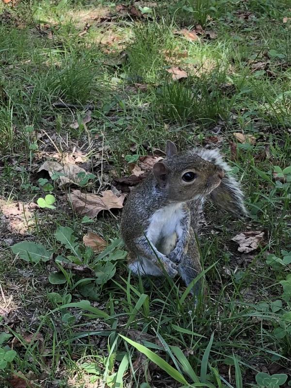 Asiya uploaded   261  day/s  ago