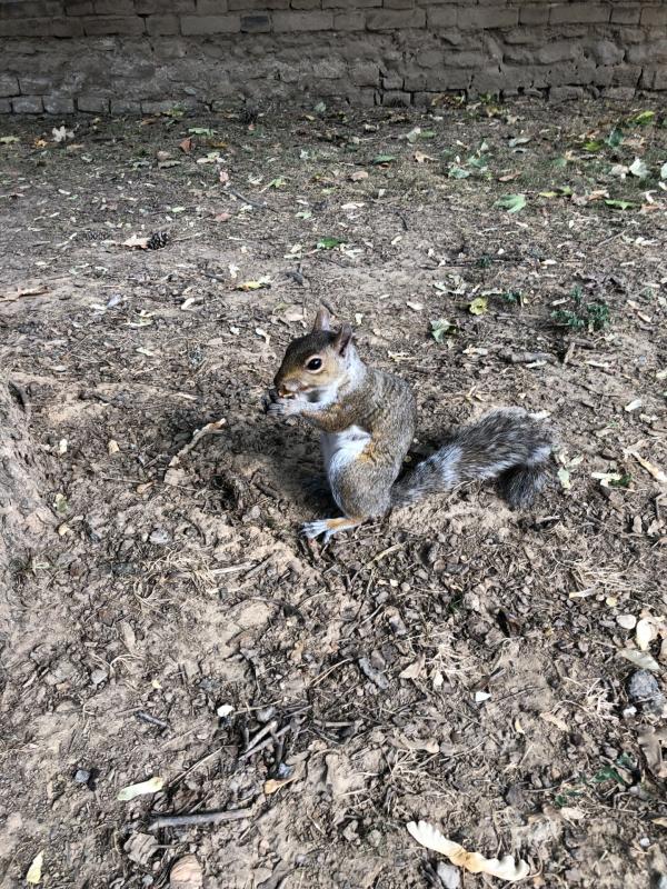 Asiya uploaded   215  day/s  ago