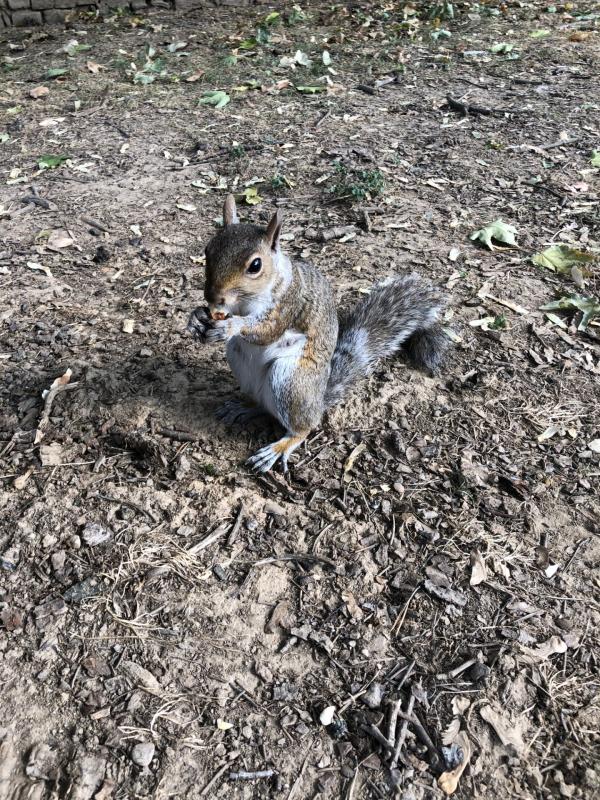 Asiya uploaded   215  day/s  ago