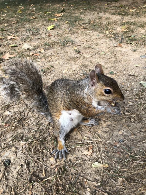 Asiya uploaded   208  day/s  ago