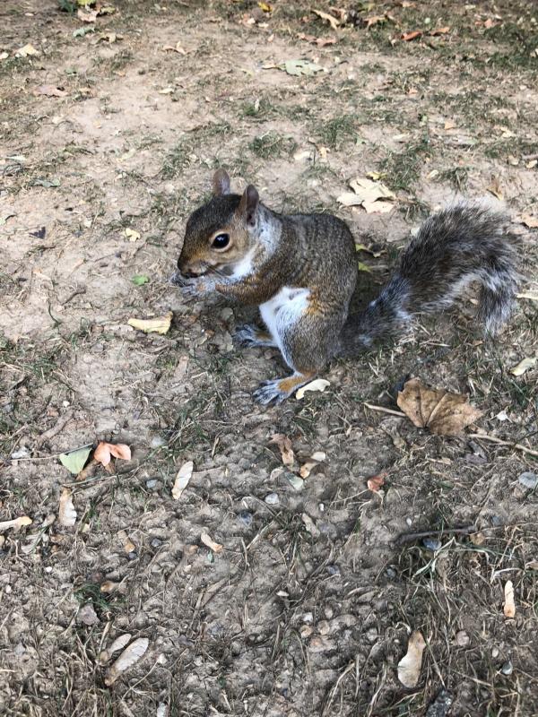 Asiya uploaded   230  day/s  ago