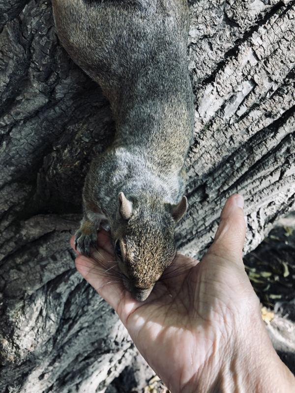 Asiya uploaded   100  day/s  ago