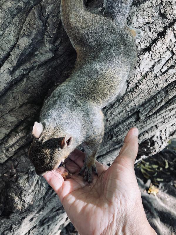 Asiya uploaded   100  day/s  ago