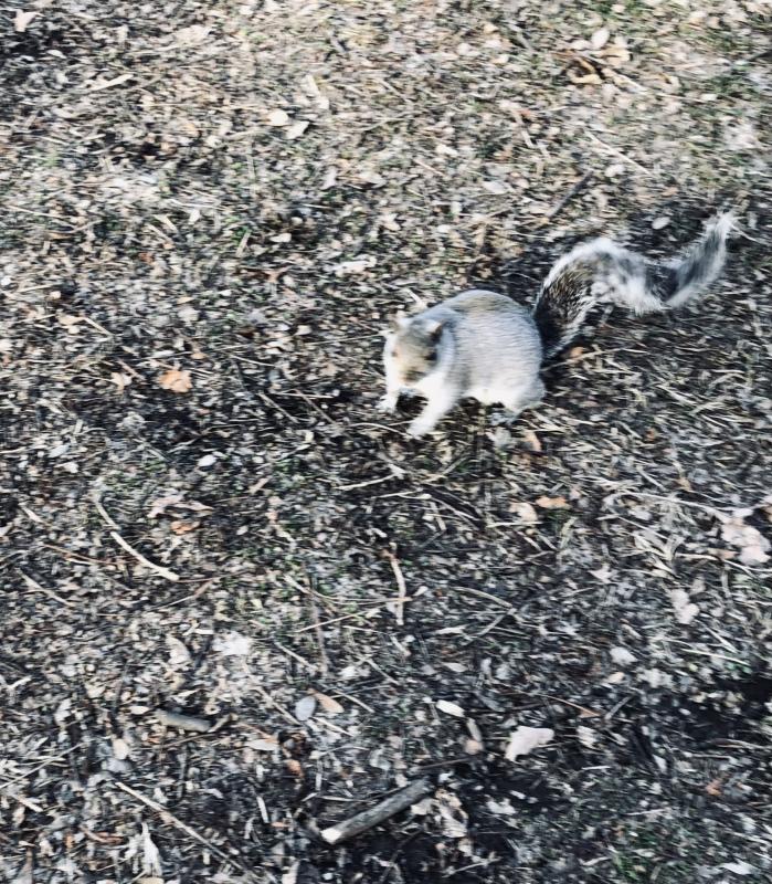 Asiya uploaded   93  day/s  ago