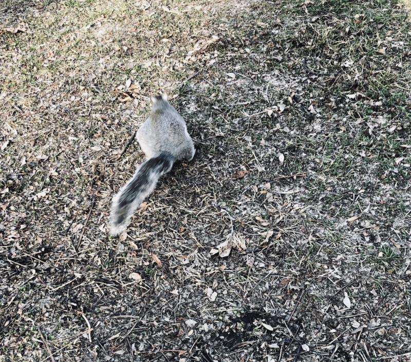 Asiya uploaded   93  day/s  ago