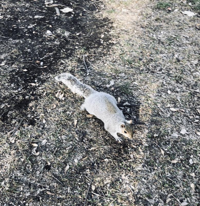 Asiya uploaded   93  day/s  ago