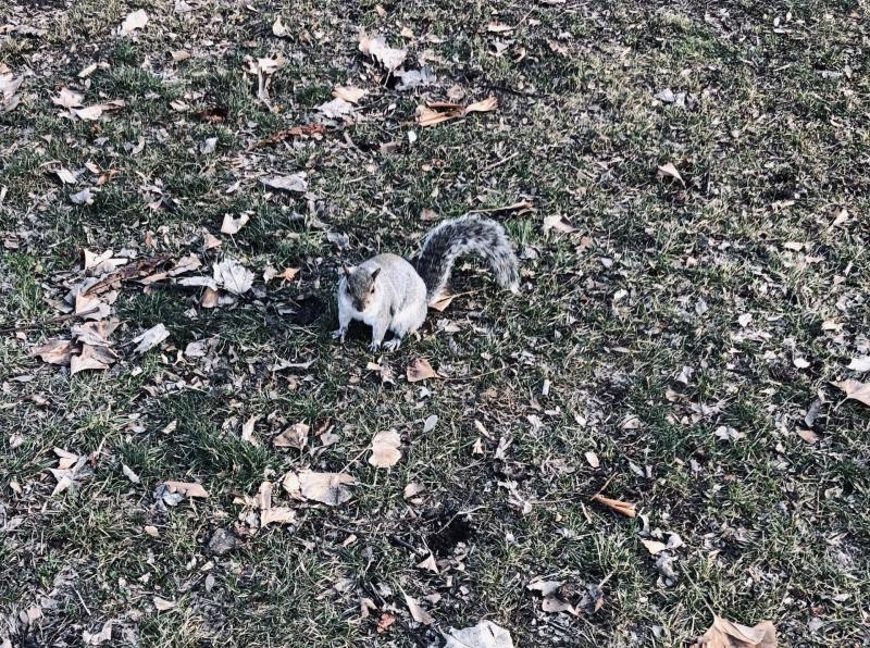 Cioppino of the Asiya family