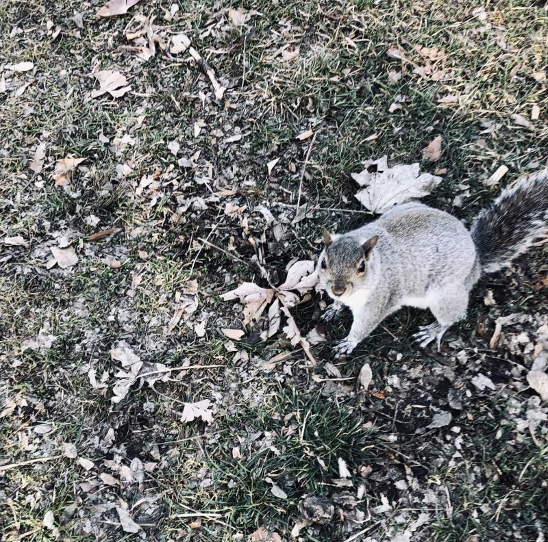 Asiya uploaded   4  day/s  ago