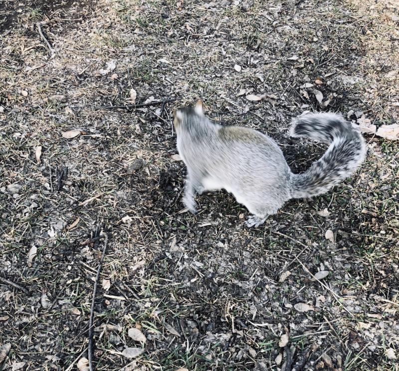 Asiya uploaded   4  day/s  ago