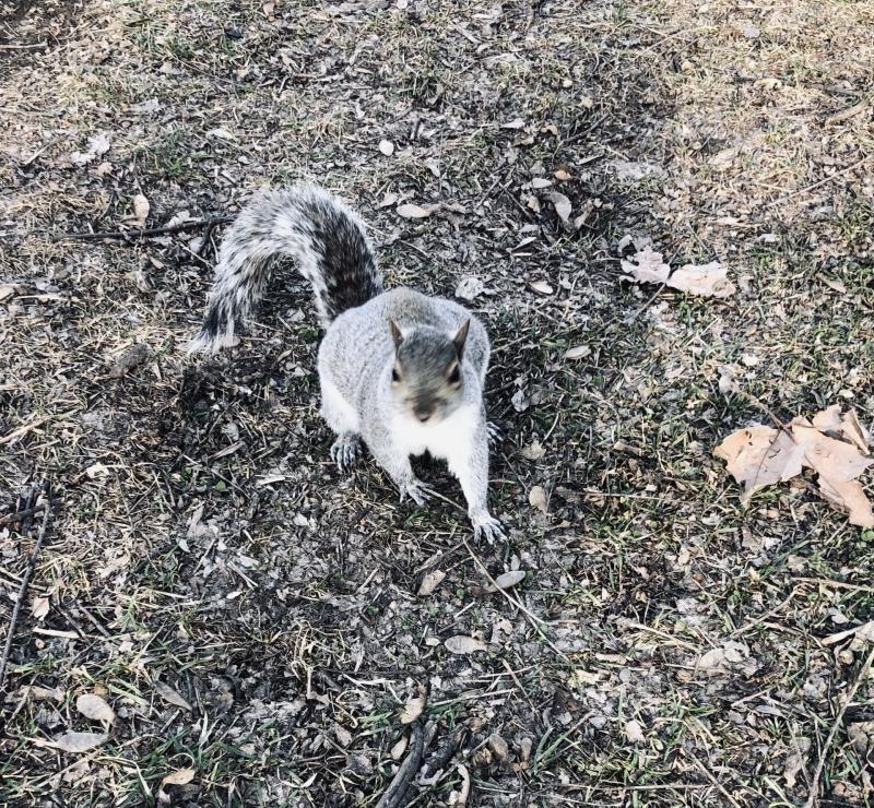 Asiya uploaded   4  day/s  ago