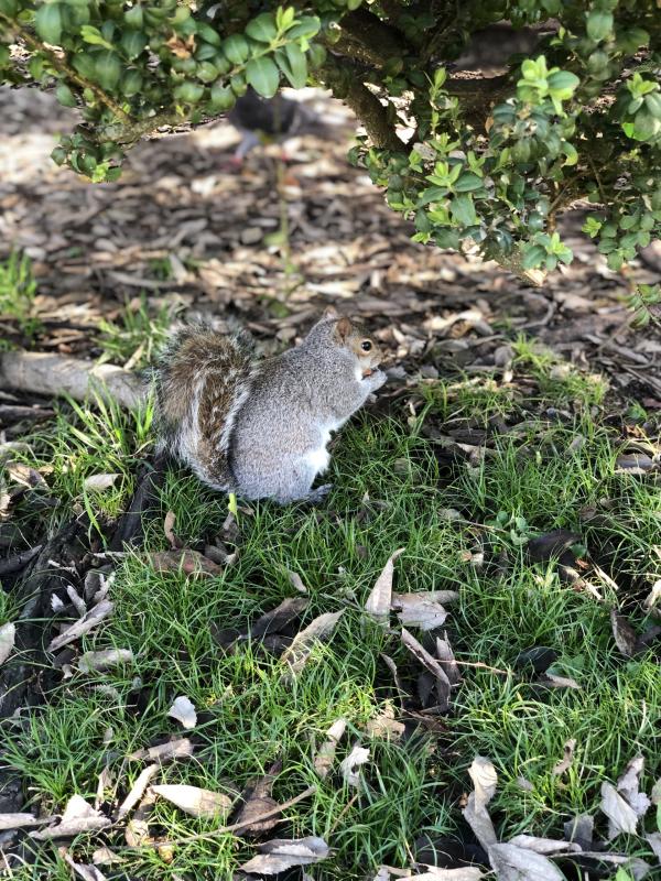 Asiya uploaded   27  day/s  ago