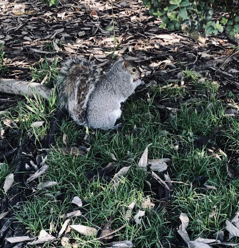 Asiya uploaded   27  day/s  ago