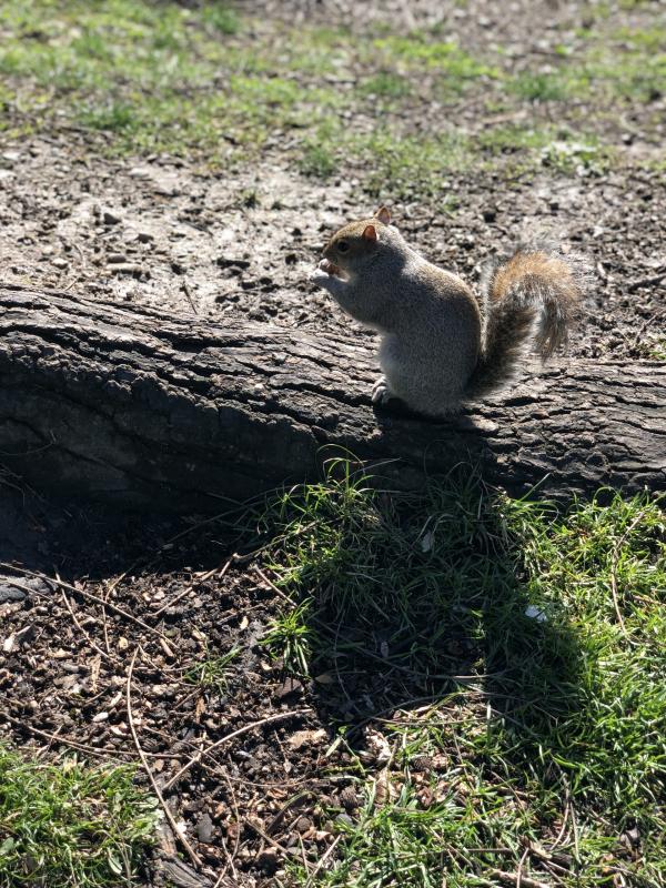 Asiya uploaded   10  day/s  ago