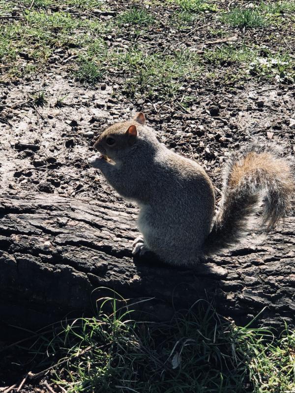 Asiya uploaded   10  day/s  ago