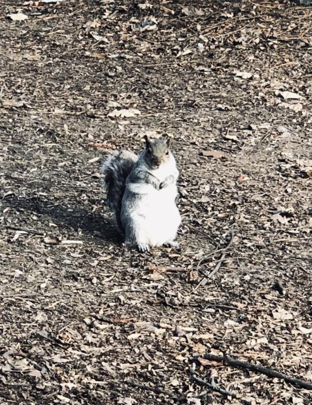 Asiya uploaded   43  day/s  ago