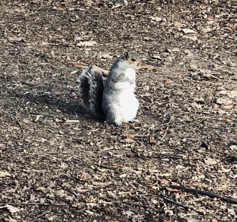 Asiya uploaded   43  day/s  ago