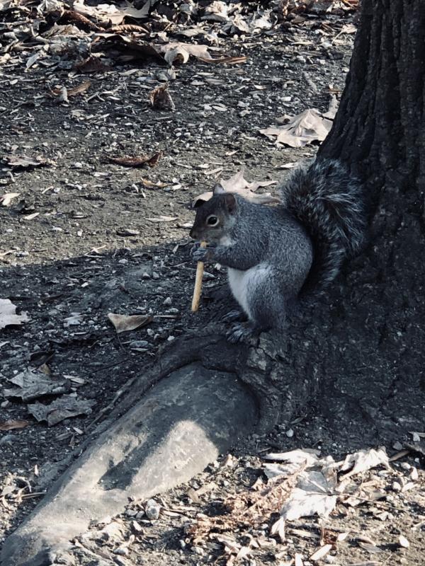 Asiya uploaded   37  day/s  ago