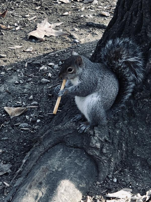 Asiya uploaded   37  day/s  ago