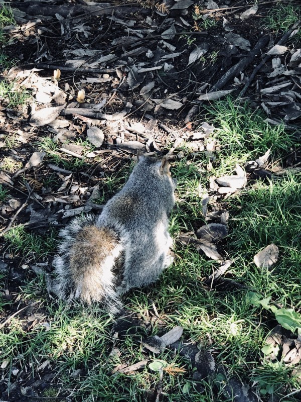 Asiya uploaded   5 hour/s ago