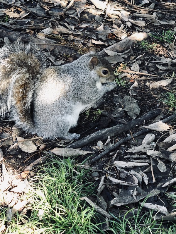 Asiya uploaded   5 hour/s ago