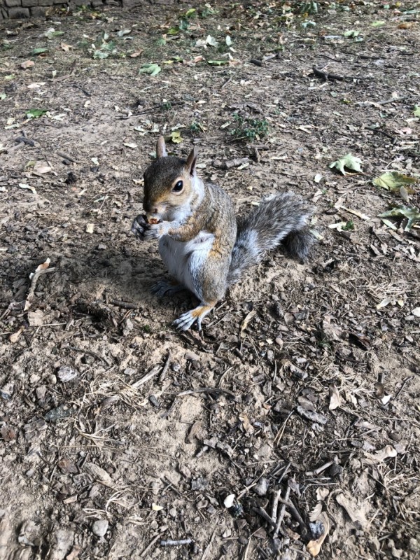 Asiya uploaded   230  day/s  ago