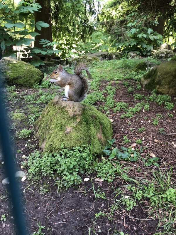 Asiya uploaded   278  day/s  ago