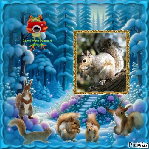 Cioppino of the Asiya family