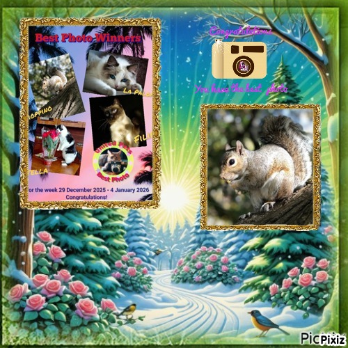 Cioppino of the Asiya family