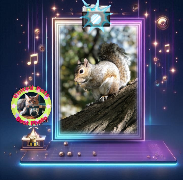 Cioppino of the Asiya family