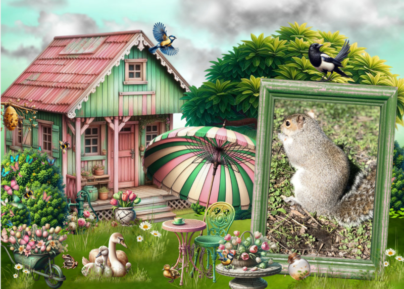 Asiya uploaded   13 hour/s ago